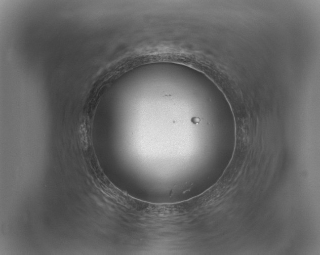 X0000072961493200607282242