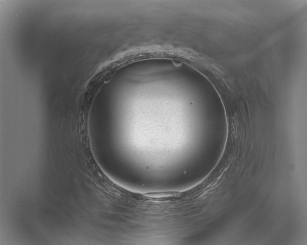 X0000072961494200607282242