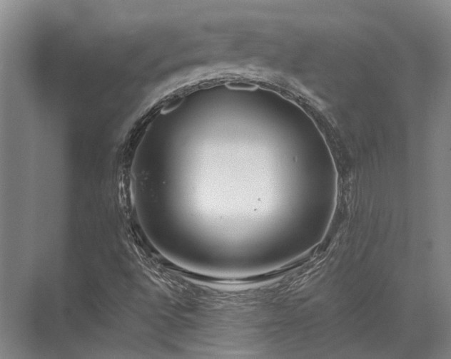 X0000072961496200607282242