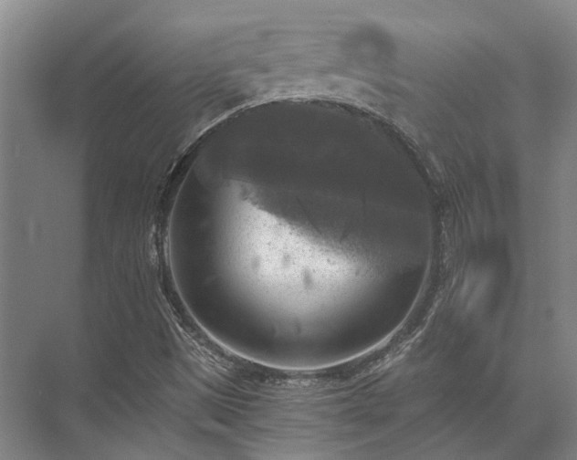 X0000072961497200607282242