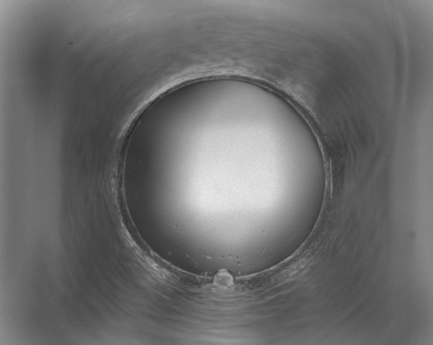 X0000072961500200607282242