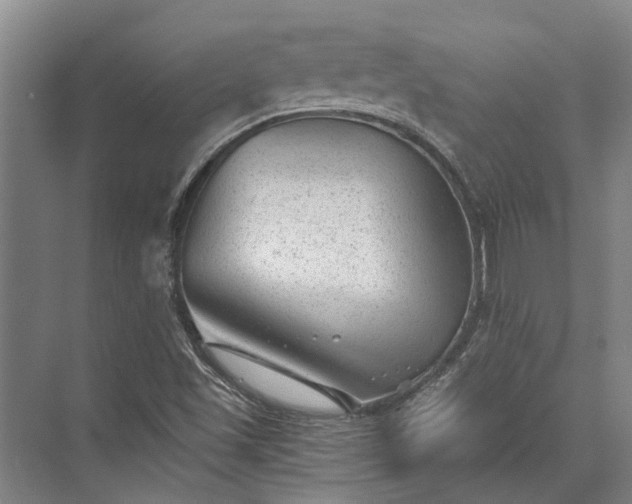 X0000072961501200607282242