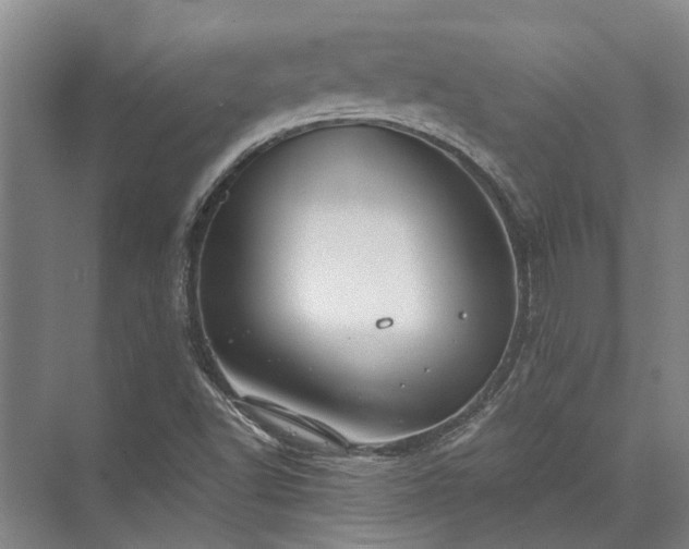 X0000072961502200607282242