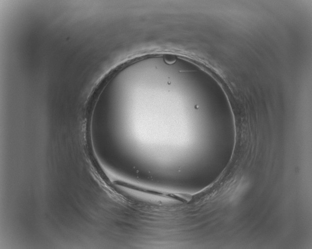 X0000072961503200607282242