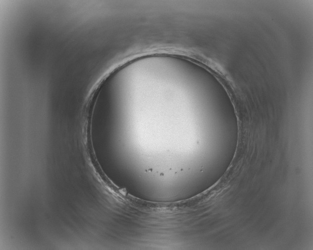 X0000072961504200607282242