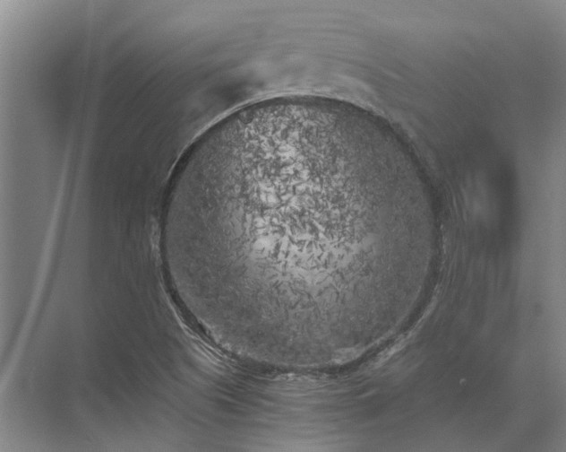 X0000072961505200607282242