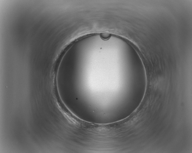 X0000072961507200607282242