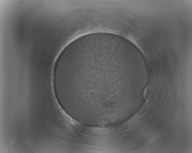 X0000072961508200607282242