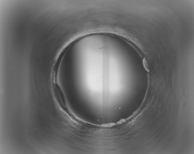 X0000072961510200607282242