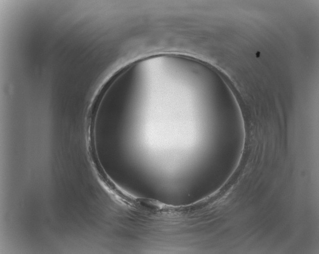 X0000072961511200607282242