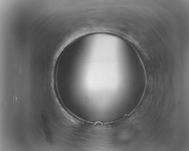 X0000072961512200607282242