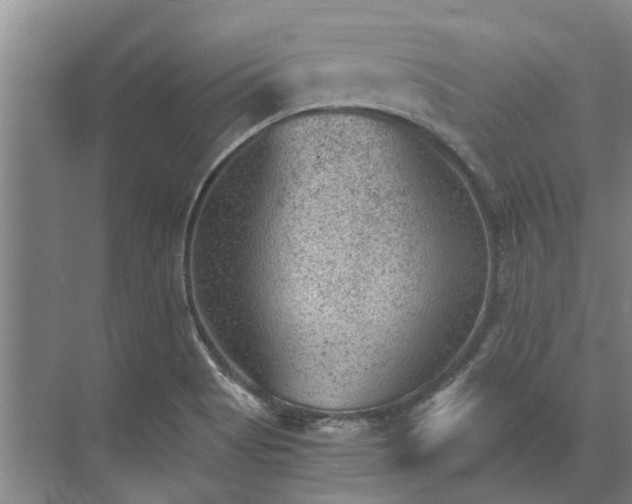 X0000072961513200607282242