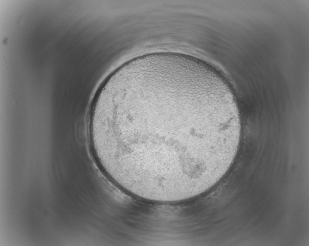 X0000072961514200607282242