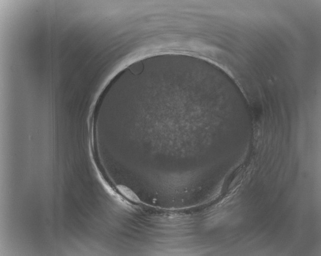 X0000072961515200607282242