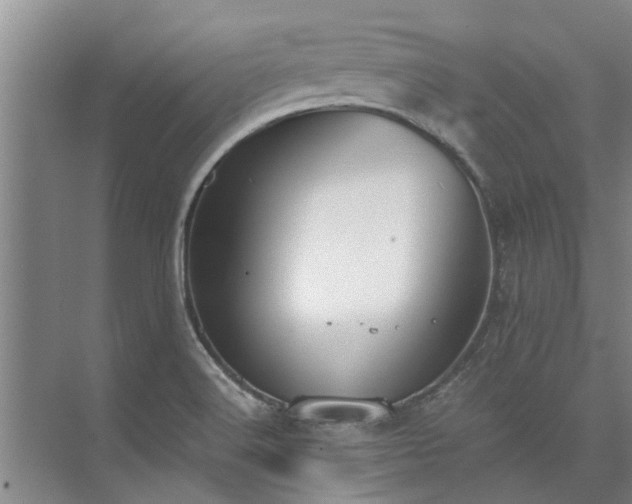 X0000072961516200607282242