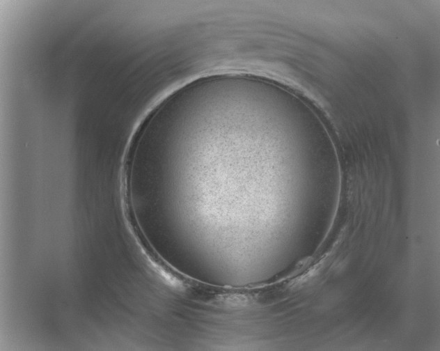 X0000072961517200607282242