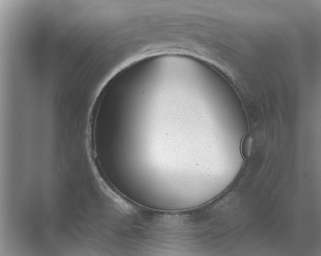 X0000072961518200607282242