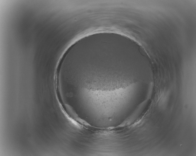 X0000072961519200607282242