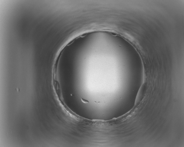 X0000072961520200607282242