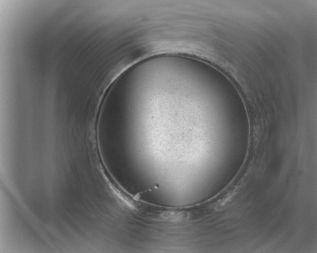 X0000072961521200607282243