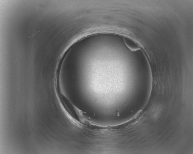 X0000072961523200607282243