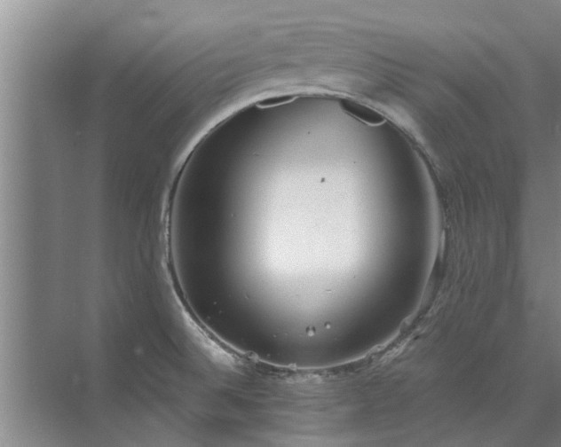 X0000072961524200607282243