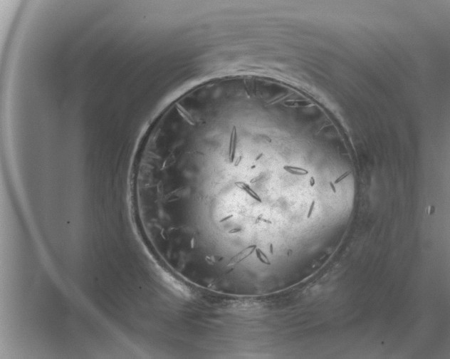 X0000072961525200607282243