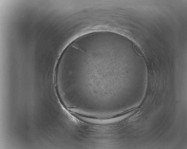 X0000072961527200607282243