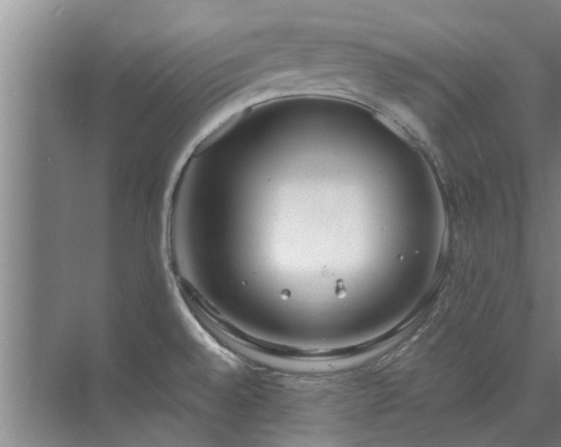 X0000072961528200607282243