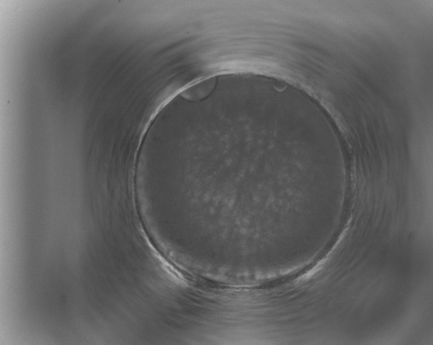 X0000072961529200607282243