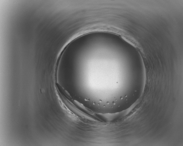 X0000072961530200607282243