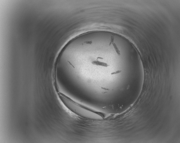 X0000072961531200607282243