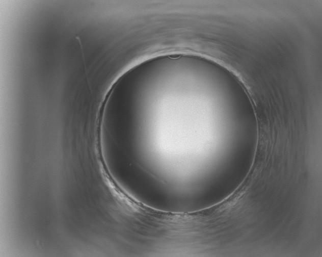 X0000072961534200607282243