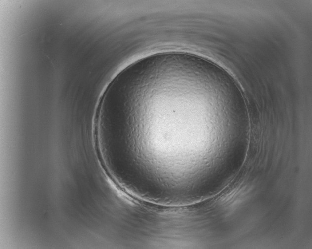 X0000072961535200607282243