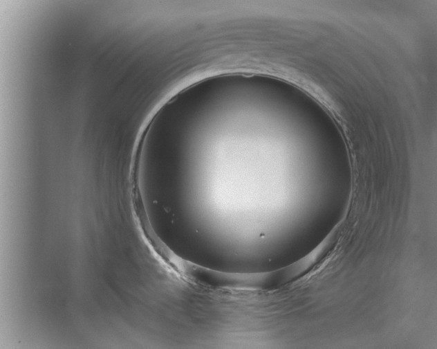 X0000072961536200607282243