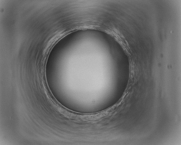 X0000072960001200608041204