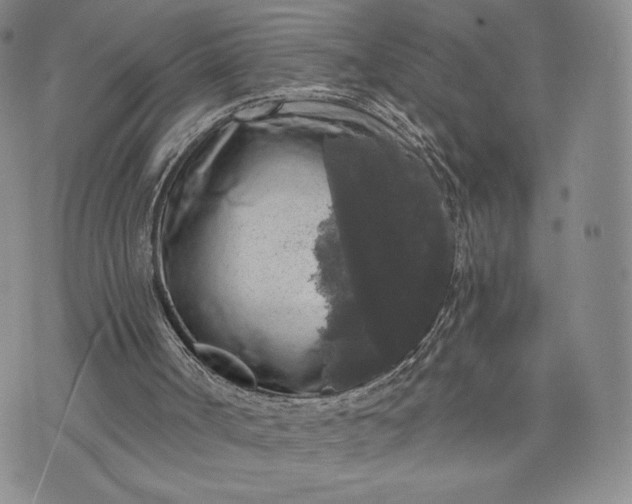 X0000072960002200608041204