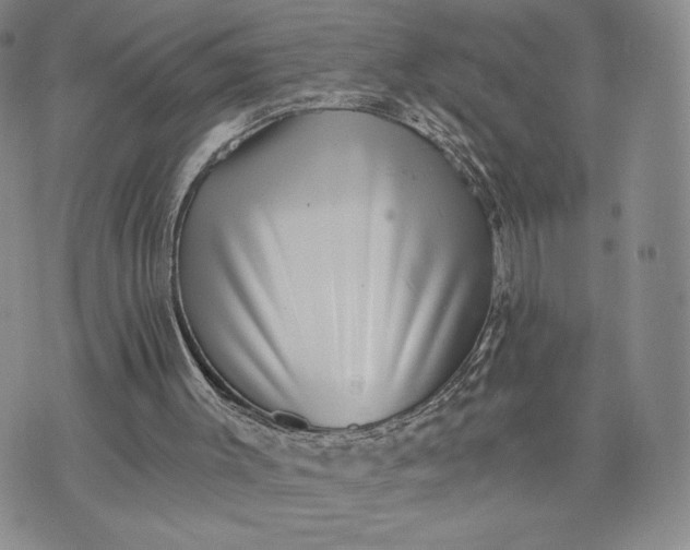 X0000072960003200608041204