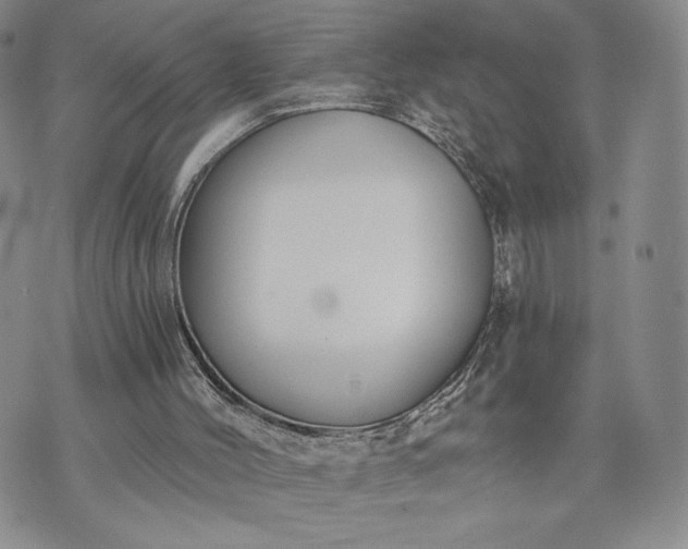 X0000072960004200608041204