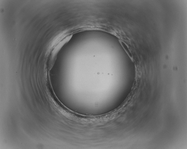 X0000072960005200608041204