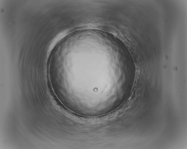 X0000072960006200608041204