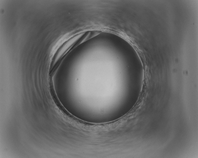 X0000072960007200608041204