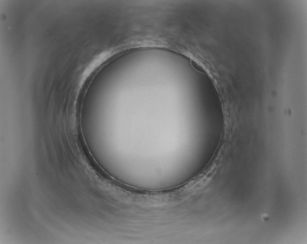 X0000072960008200608041204