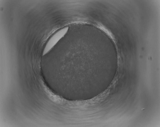 X0000072960009200608041204