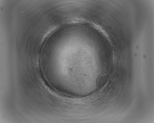 X0000072960010200608041204