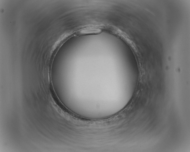 X0000072960011200608041204