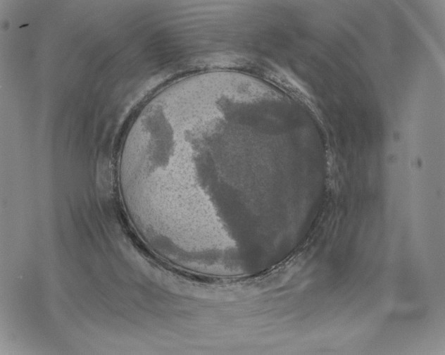 X0000072960012200608041204