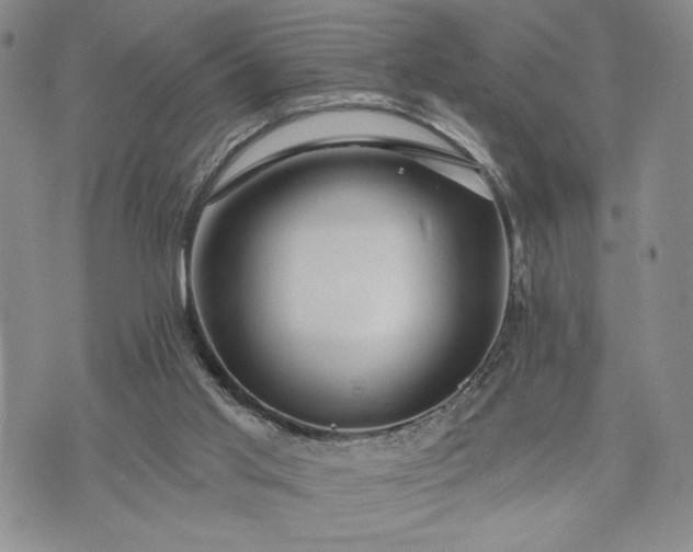 X0000072960013200608041204