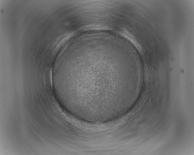 X0000072960014200608041204