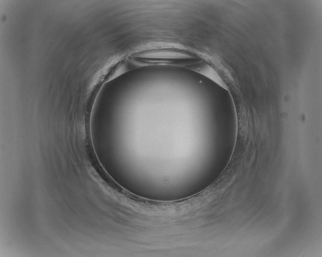 X0000072960015200608041204